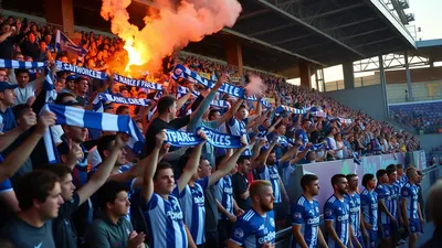 The Spirit of Zwolle: Embracing the Passion of PEC Supporters